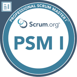 PSM I